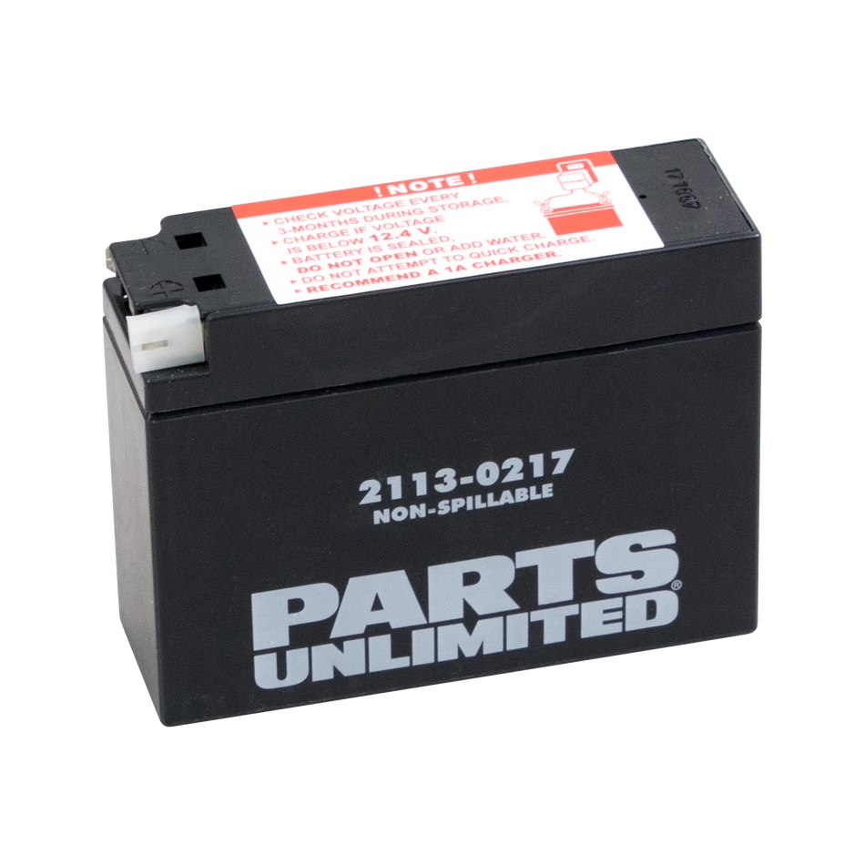 Parts Unlimited Agm Battery - Yt4b-Bs Ct4b-5