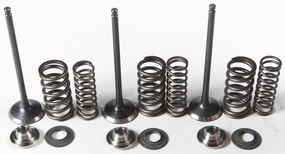 KPMIIntake Valve/Spring Kit Stainless Steel80-80850