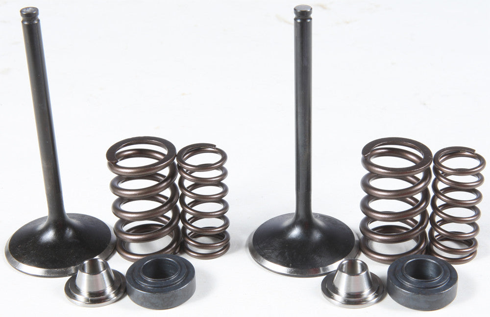 KPMIIntake Valve/Spring Kit Stainless Steel80-81100