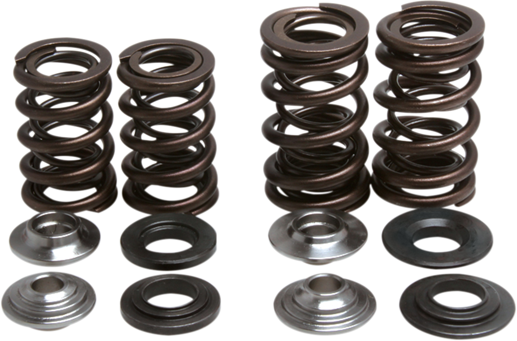 KIBBLEWHITE Valve Spring Kit 30-30720