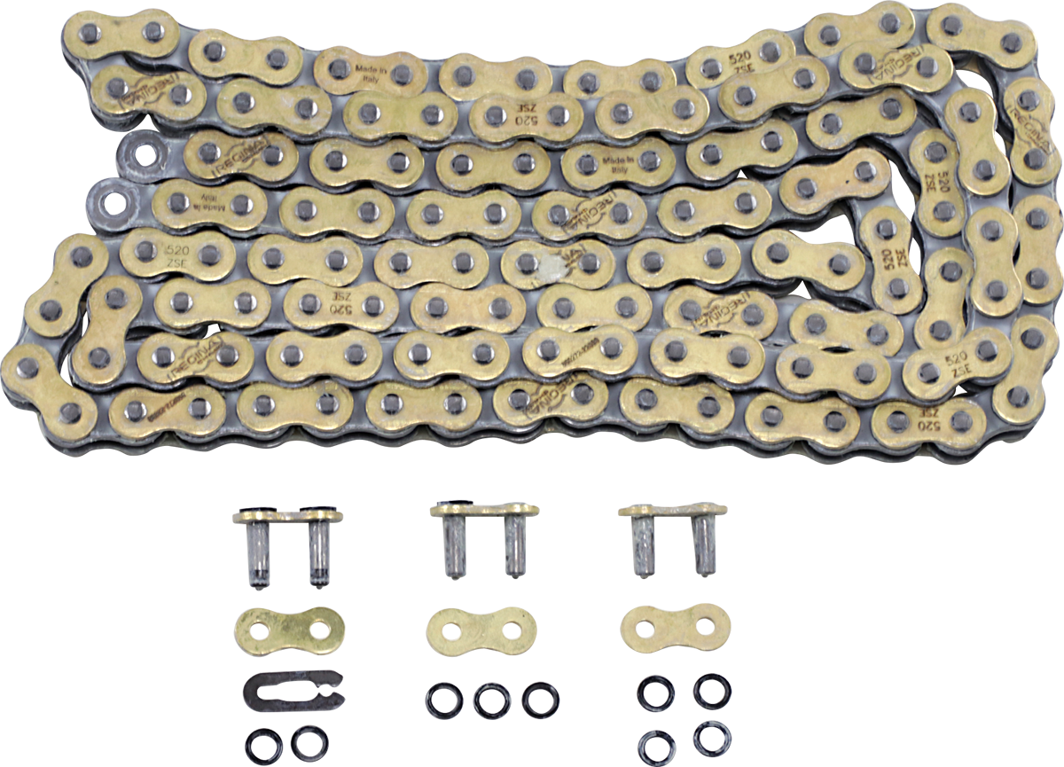 REGINA 520 ZSE - Drive Chain - 130 Links 135ZSE/1005