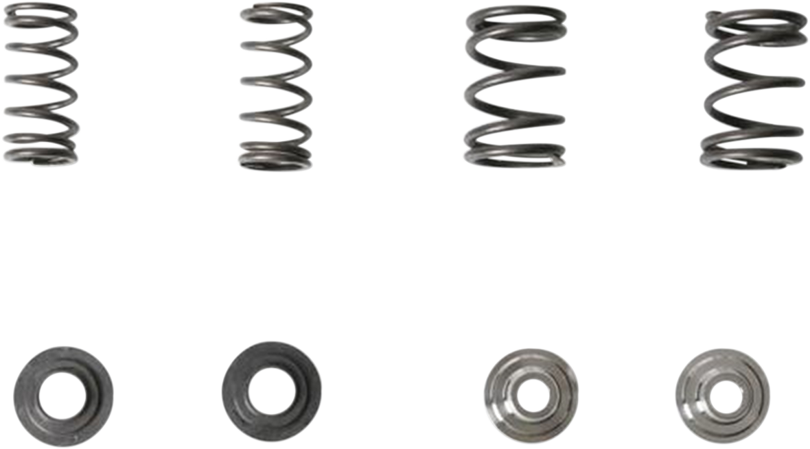 KIBBLEWHITE Valve Spring Kit 30-4021