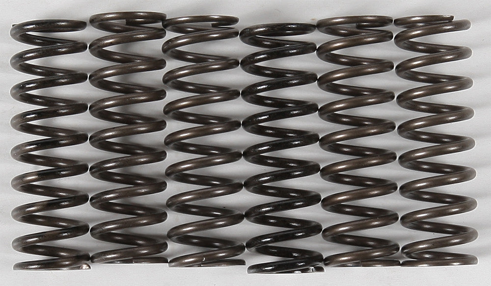 HINSON High Temp Springs 6 Springs CS216-6-0315