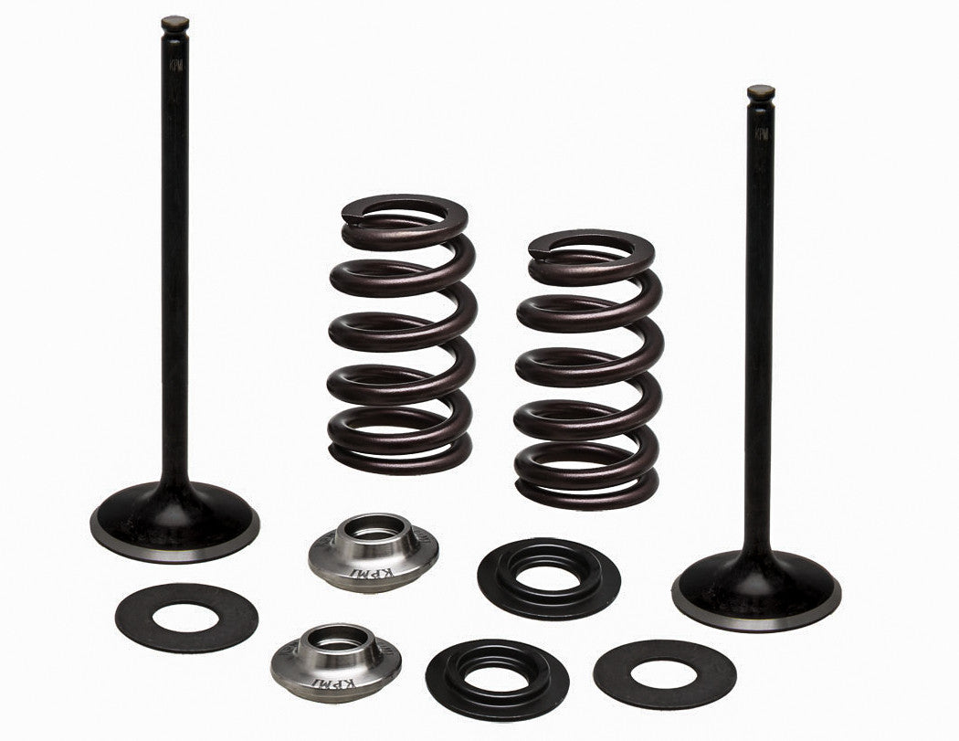 KPMISs Intake Valve/Spring Kit96-96540