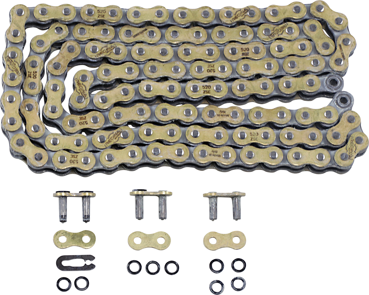 REGINA 520 ZSE - Drive Chain - 120 Links 135ZSE/1004