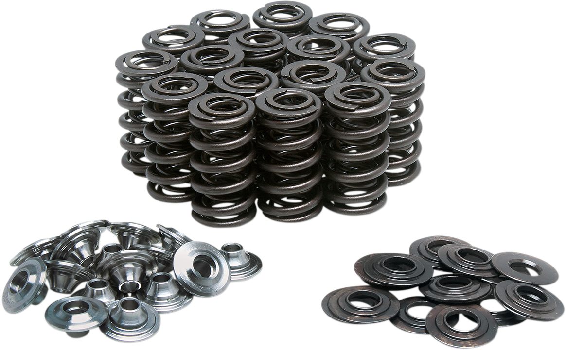 KIBBLEWHITE Valve Spring Kit 60-60146