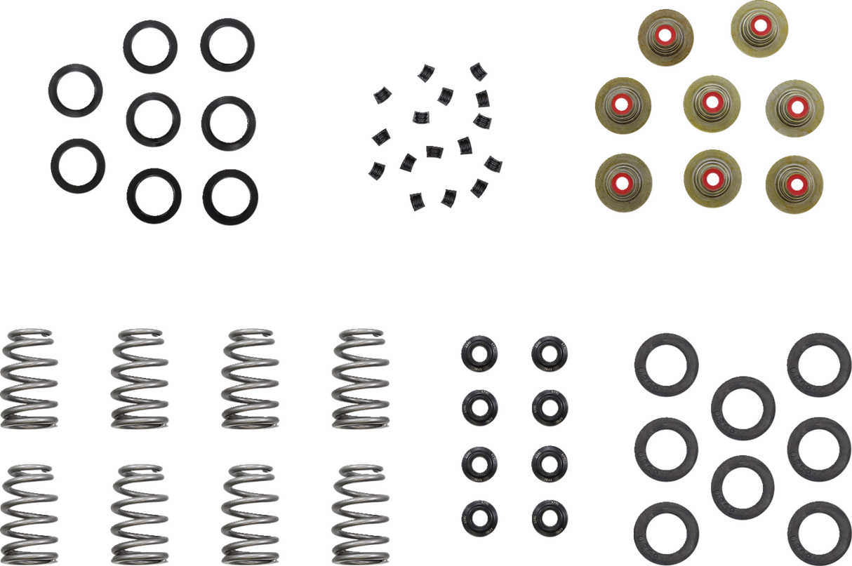 KIBBLEWHITE Beehive Shim Spring Kit 20-23950