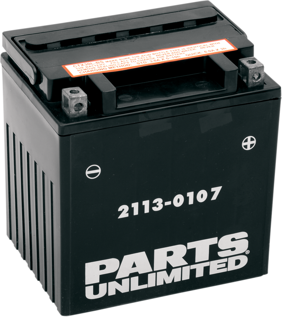 Parts Unlimited Agm Battery - Yix30l-Bs Ctx30l-Bs