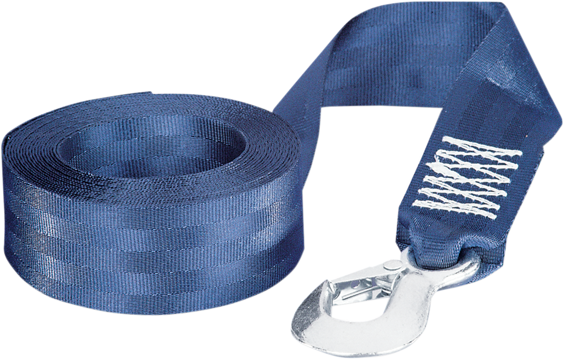 FULTON PERFORMANCE Winch Strap - 2" x 12' 501208