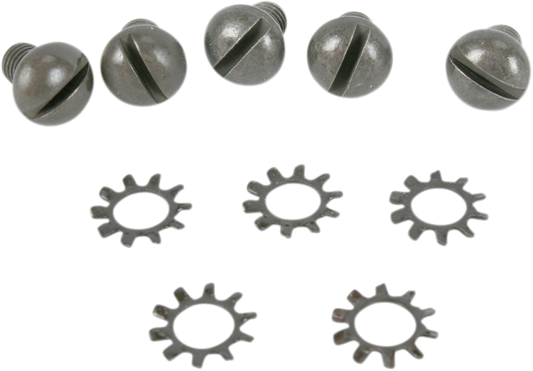 COLONY Screws - Hub Cover - Parkerized 9670-10