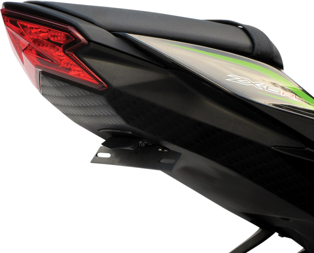 TARGA X-Tail Kit - Kawasaki - No-Signal 22-493-X-L