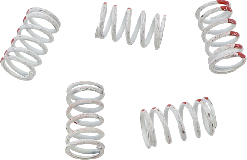 KG POWERSPORTS Clutch Spring Set KGS-033