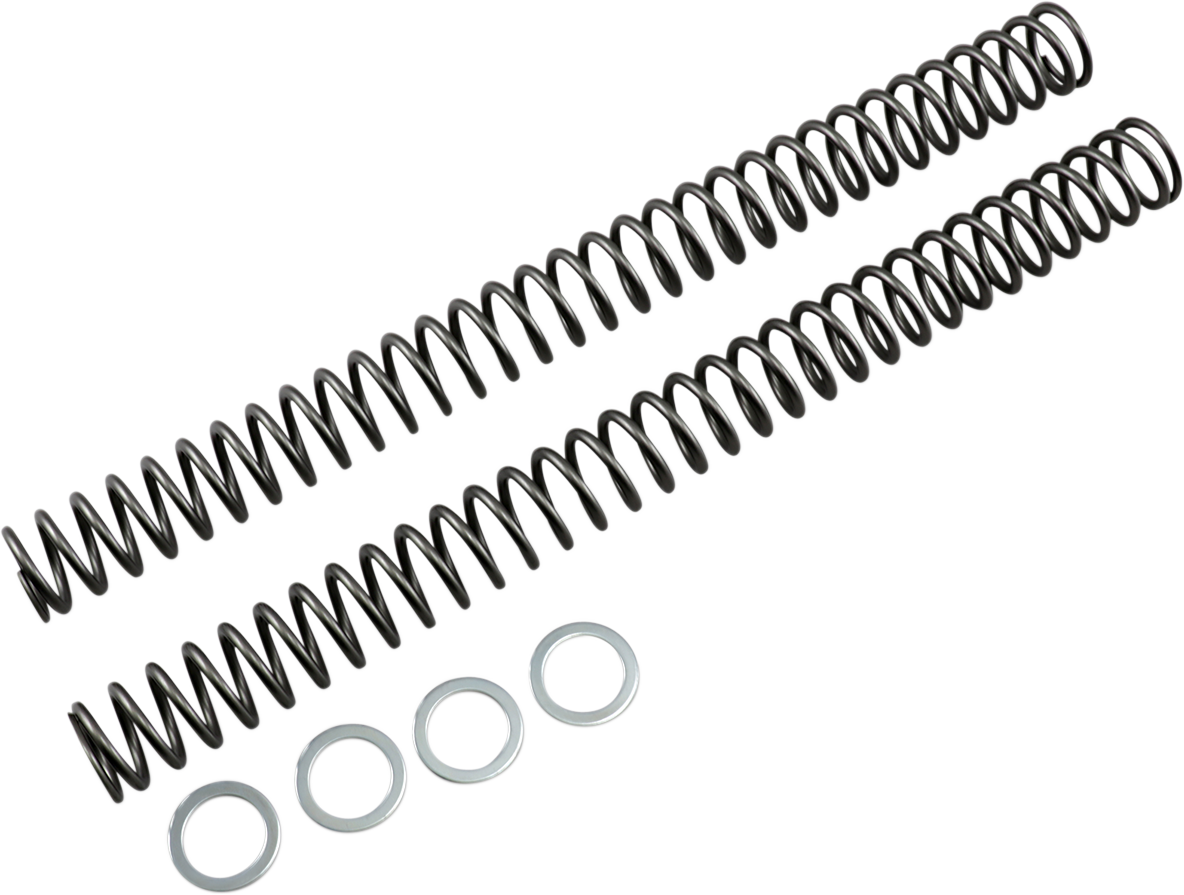 RACE TECH Fork Springs - 0.46 kg/mm FRSP 394646