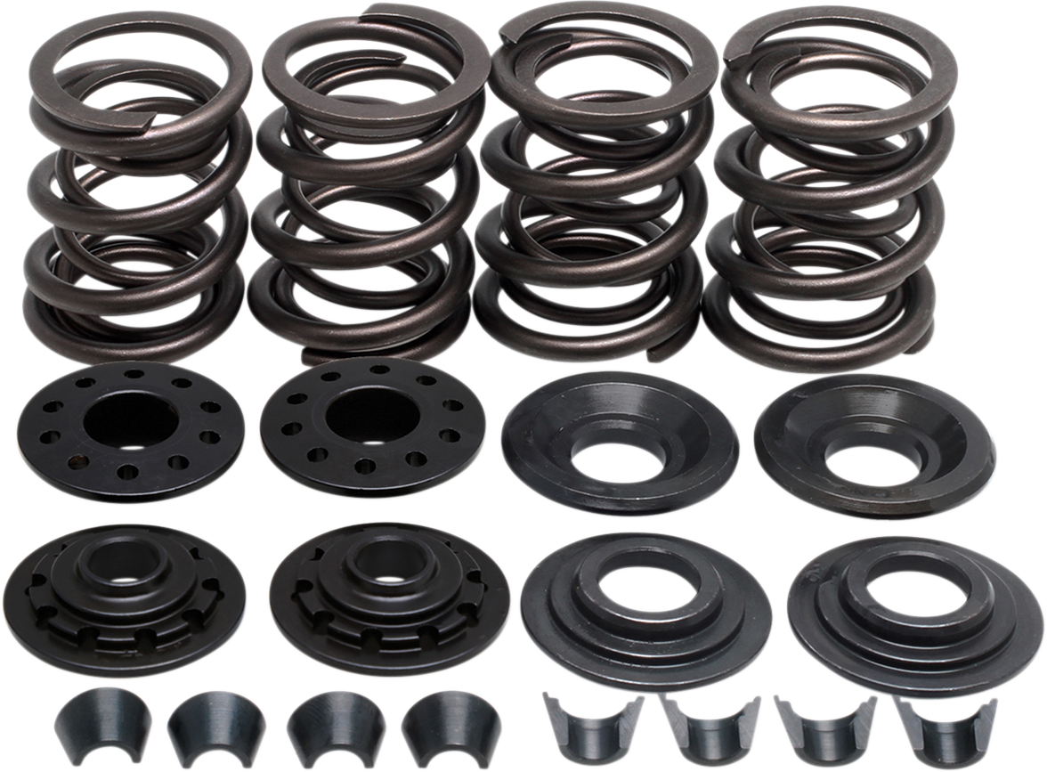 KIBBLEWHITE Valve Spring Kit - XL 20-2210