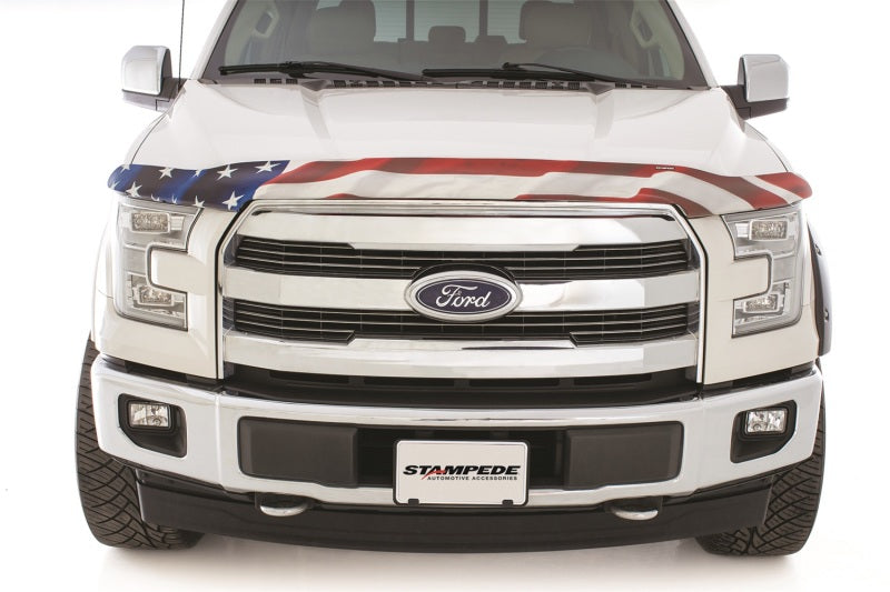 Stampede 15-20 Ford F-150 (Excl. Raptor) Vigilante Premium Hood Protector - Flag 2153-41