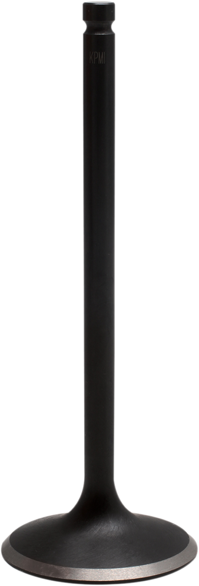 KIBBLEWHITE Intake Valve - Polaris 500 - Standard 82-82052