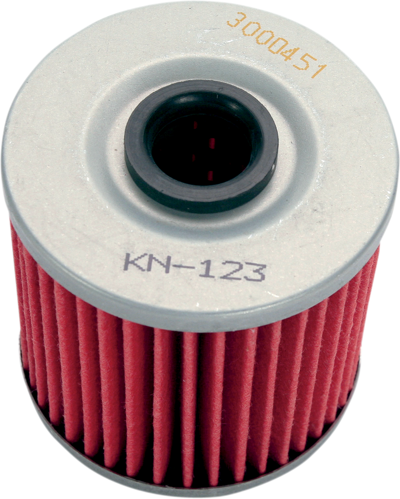 Filtro de aceite K&amp;N KN-123 