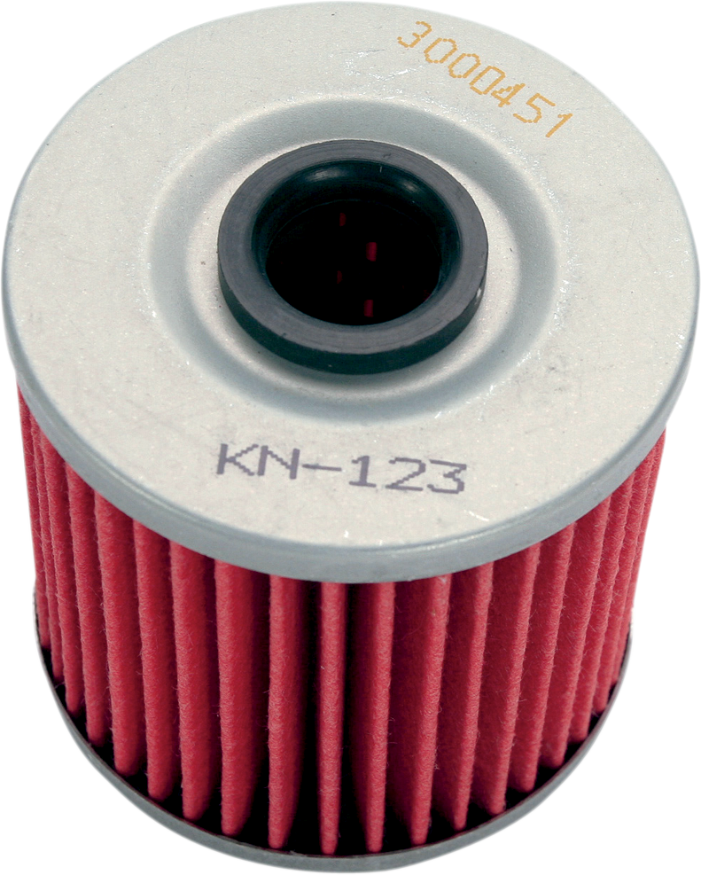 K & N Oil Filter KN-123