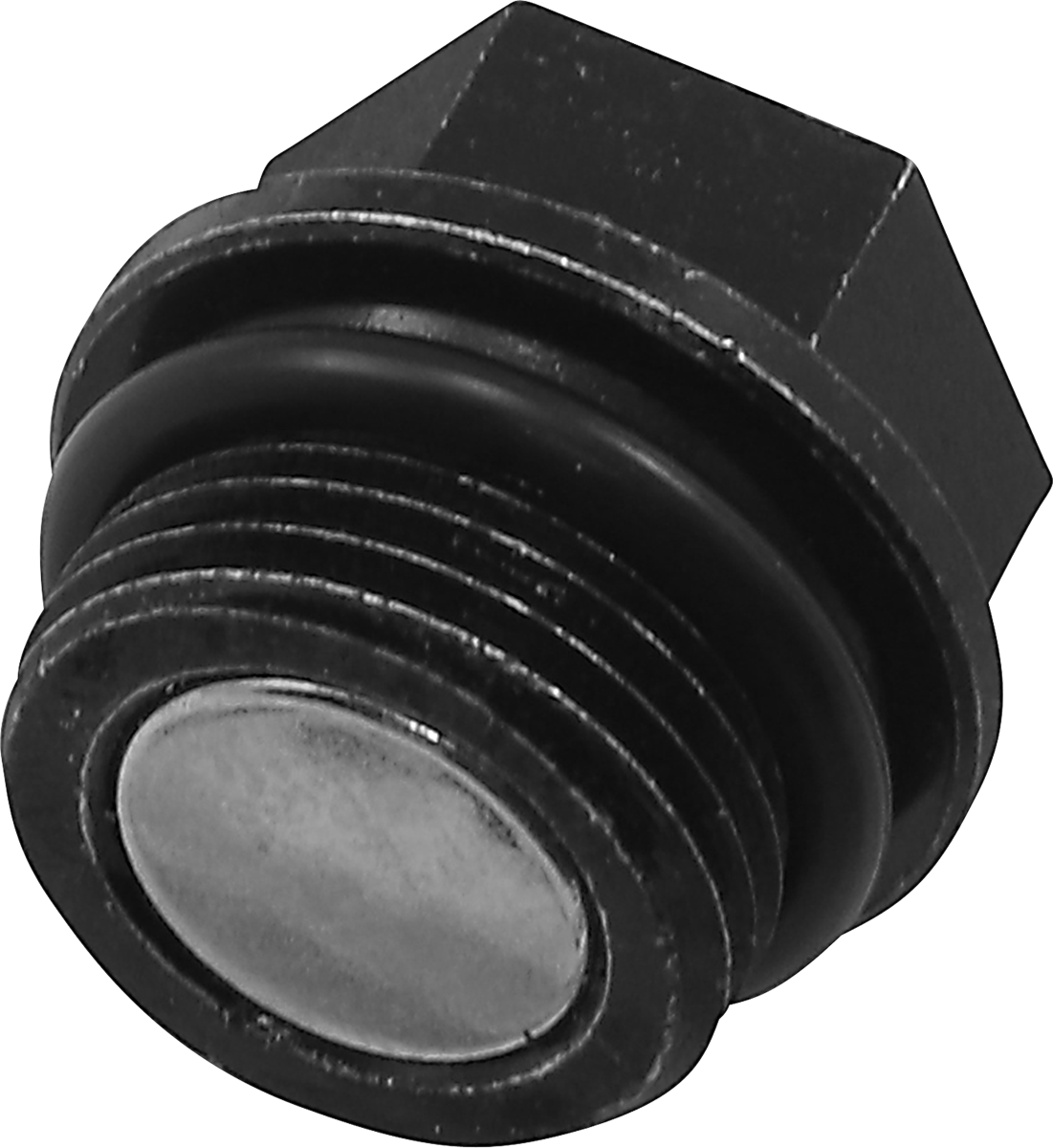 QUAD LOGIC Front Differential Drain Plug and O-Ring 100-2387