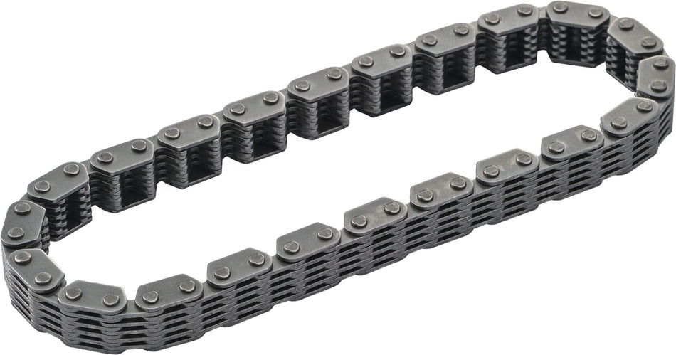 HARDDRIVE Primary Cam Chain Tc 88" Outer Oem Repl 87055