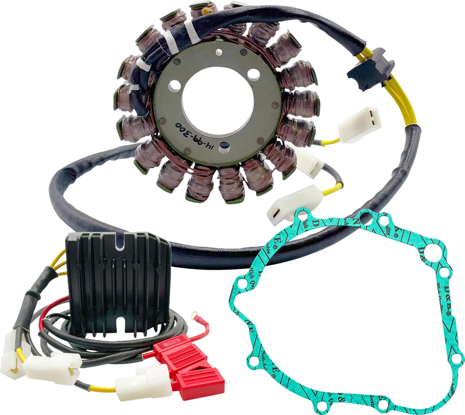 Kit de carga compatible con iones de litio RICK'S MOTORSPORT ELECTRIC - Suzuki 14-99-300 