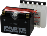 Parts Unlimited Agm Battery - Ytz14s-Bs Ctz14s-Bs