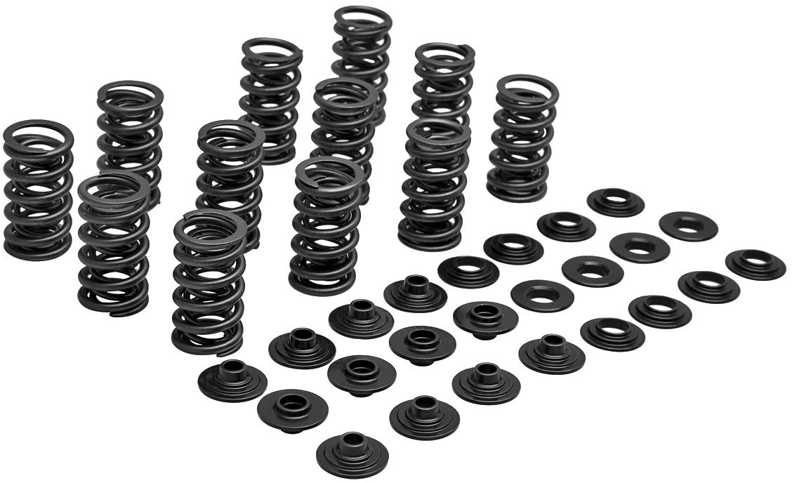 KPMIRacing Valve Spring Kit80-81700