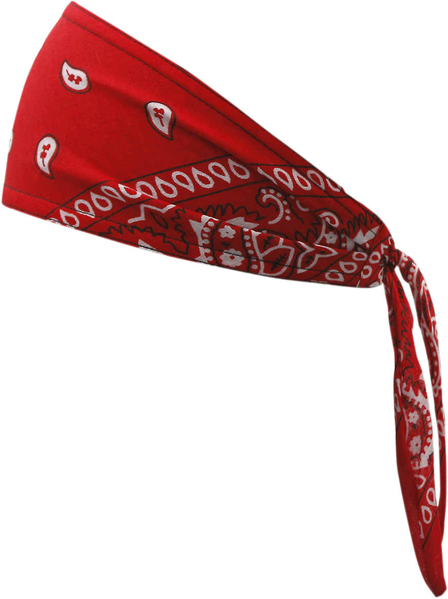 SCHAMPA &amp; DIRT SKINS Old School Bandana - Rotes Paisley OSB1-225 