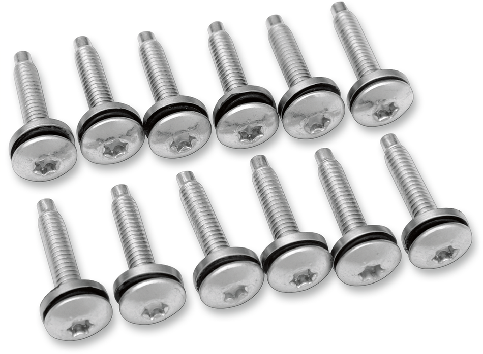 DRAG SPECIALTIES Electric Fuel Injection Mount Screw - 12-Pack MPBDR14