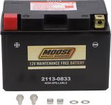 MOOSE UTILITY AGM Battery - CTZ14S CTZ14S