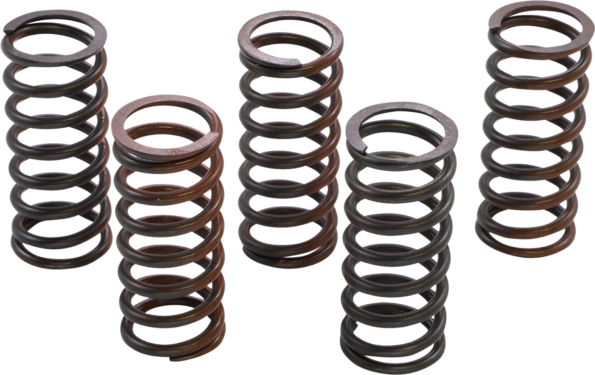 KG POWERSPORTS Clutch Spring Set KGS-905