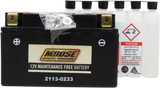 MOOSE UTILITY AGM Battery - YTZ10S 2113-0233