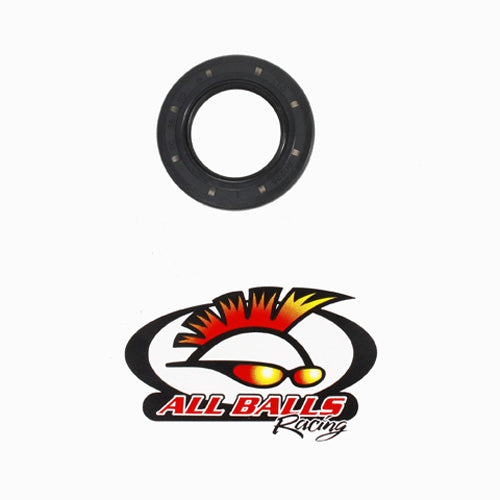 All Balls Racing Double Lipped Seal AB306001