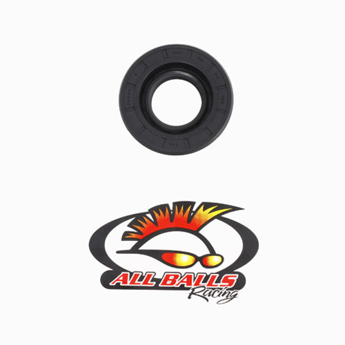 All Balls Racing Double Lip Seal - Special AB306401