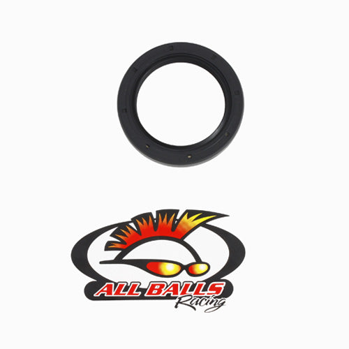All Balls Racing Double Lipped Seal AB307010