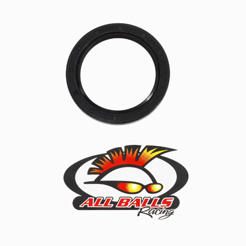 All Balls Racing Double Lipped Seal AB308001