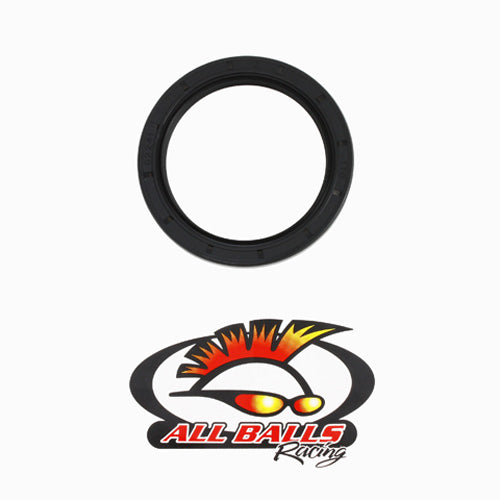 All Balls Racing Double Lipped Seal AB308501