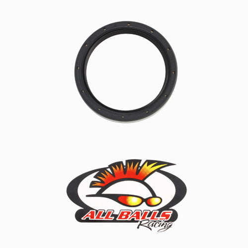 All Balls Racing Double Lipped Seal AB313201