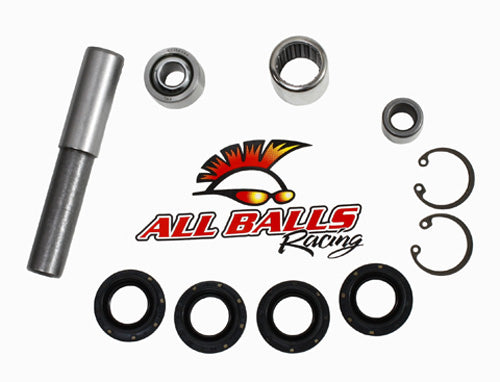 All Balls Racing A-Arm Bearing Kit AB501032