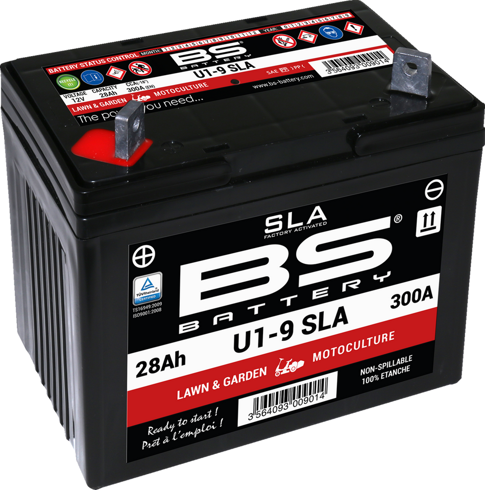 BS BATTERY SLA Batería AGM activada de fábrica sin mantenimiento - U1-9 300901 