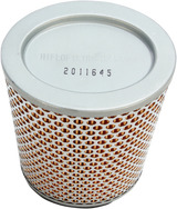 HIFLOFILTRO Air Filter - Triumph '01-'16 HFA6504