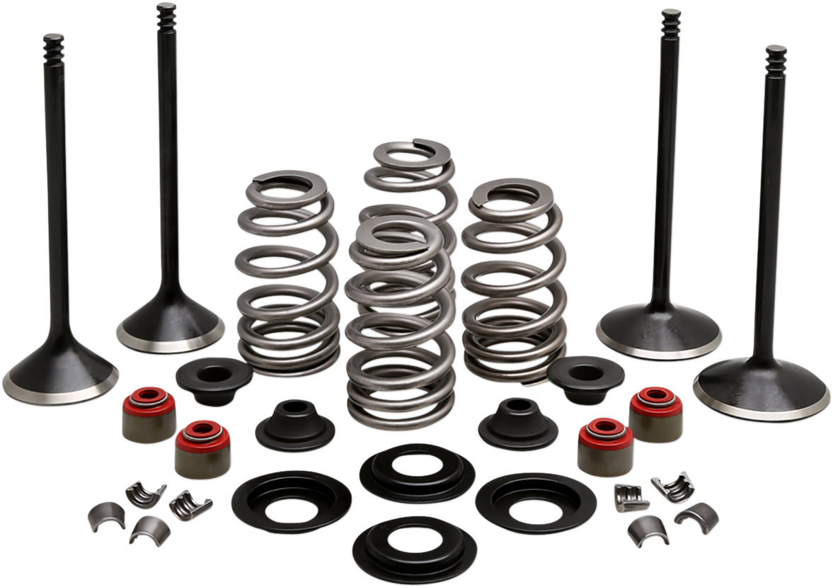 KIBBLEWHITE Complete Valve Kit - Twin Cam 20-23150