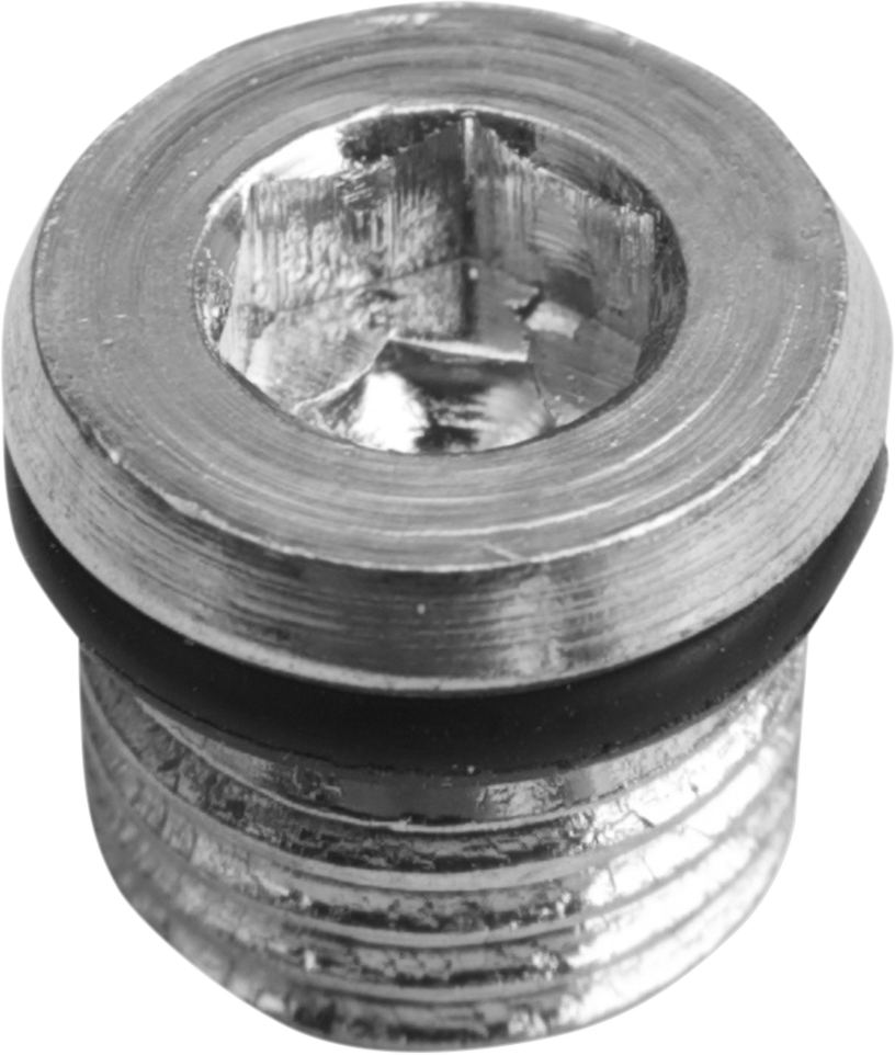 DRAG SPECIALTIES Primary Plug - 5/16"-18 11-0298P