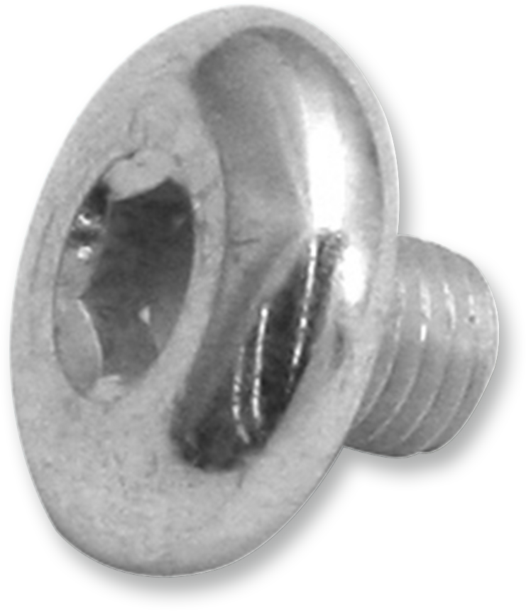 S&S CYCLE Backplate Attachment Screw - Each - 5'16-24 x .360" ACT BCKPLATE ATTACH SCREW 17-0346