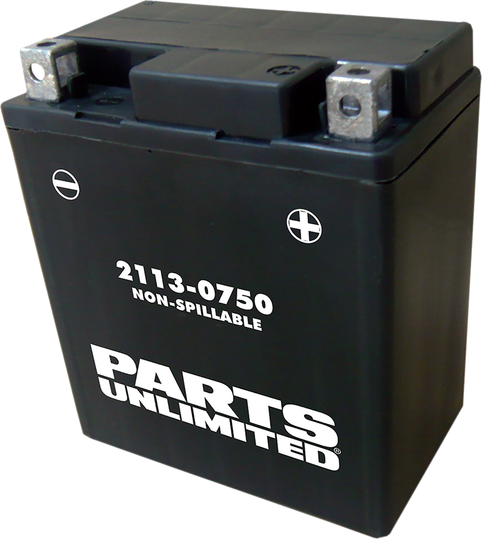 Parts Unlimited Agm Battery - Ytx7l Ctx7l