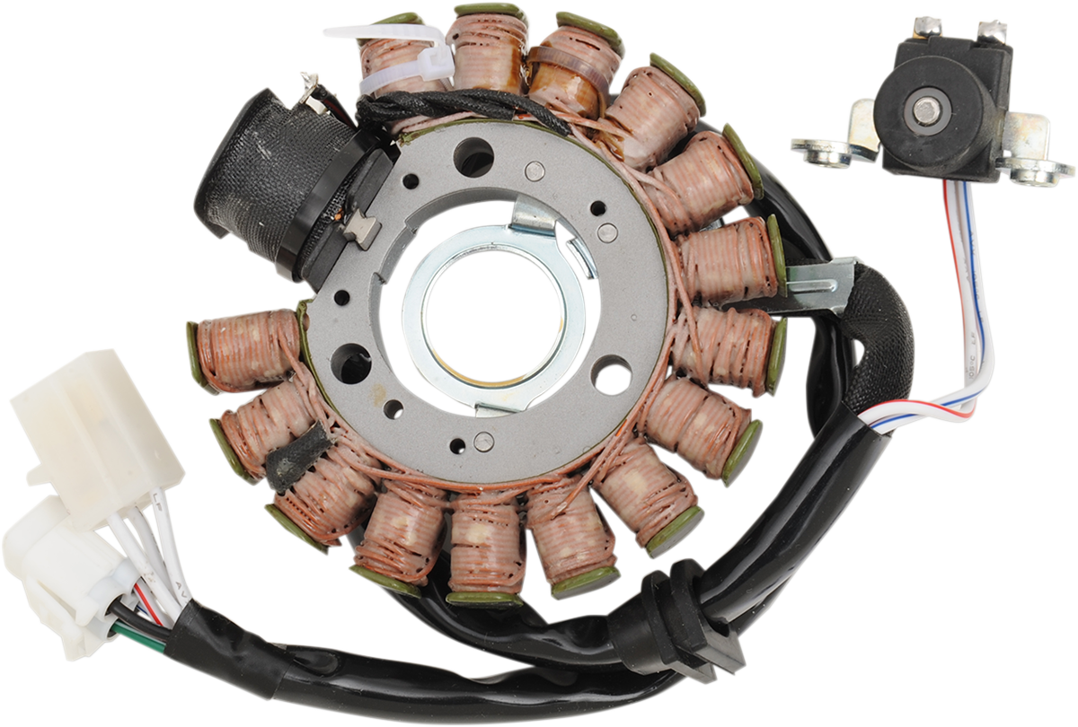 RICK'S MOTORSPORT ELECTRIC Stator - Benelli Scooter 21-427