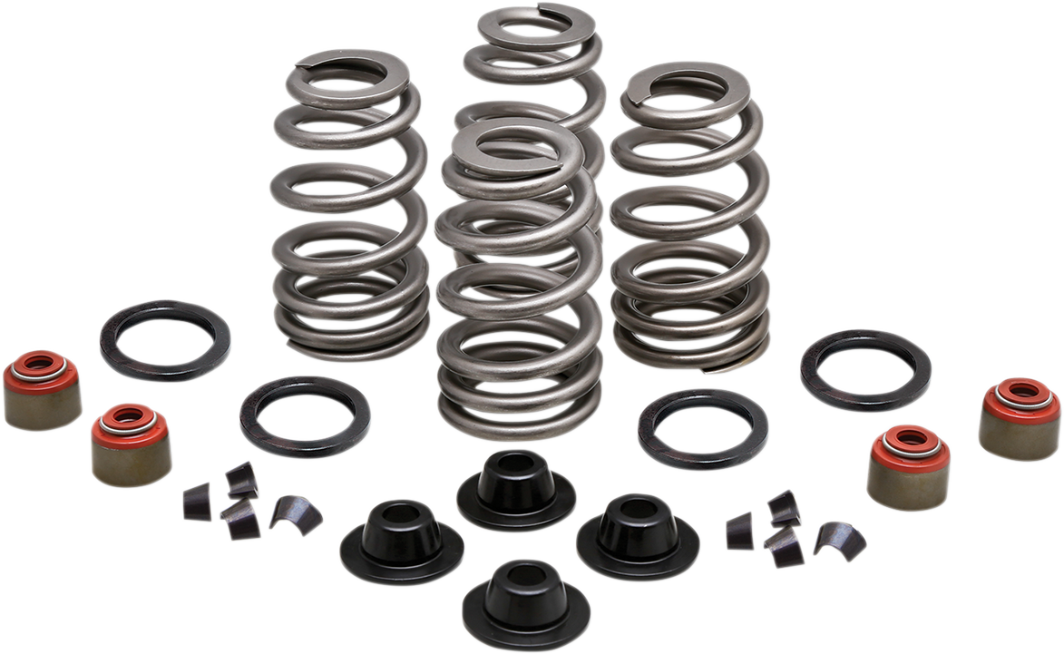 KIBBLEWHITE Spring Kit - .660" - Twin Cam 20-21550