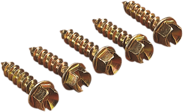 GOLD SCREWS Ice Screws - Gold - 1" - 1000 1250-0062