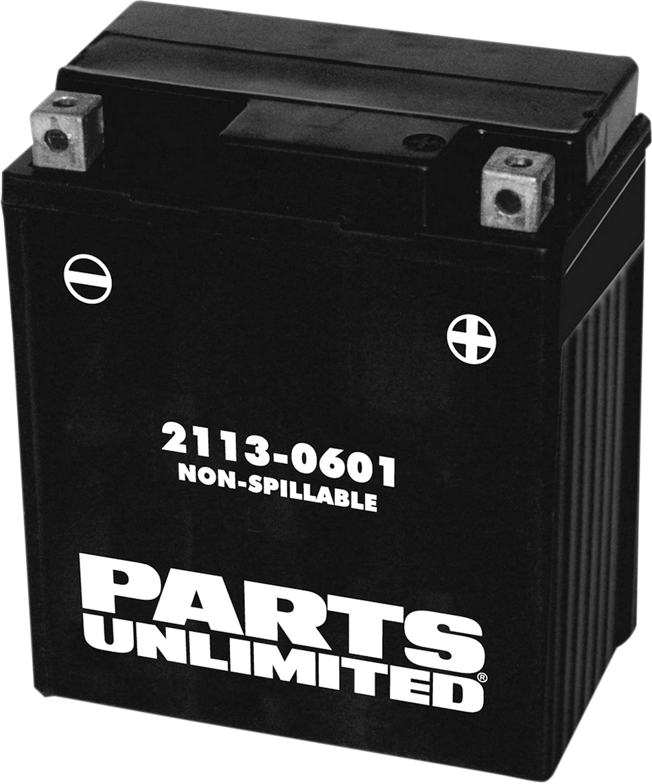 Parts Unlimited Agm Battery - Ytz8v Ctz8v