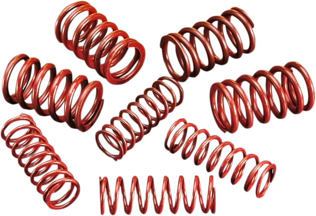 ANDREWS High-Lift Springs 294150